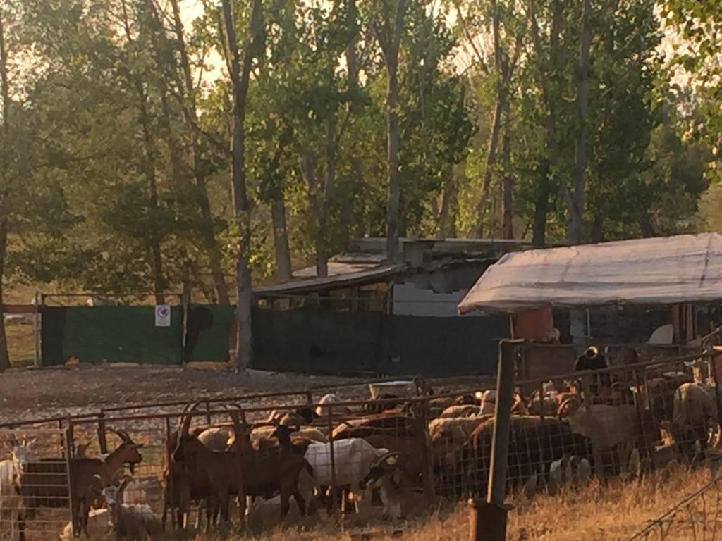 B&B Nido Sui Laghi San Donnino della Nizzola Zewnętrze zdjęcie