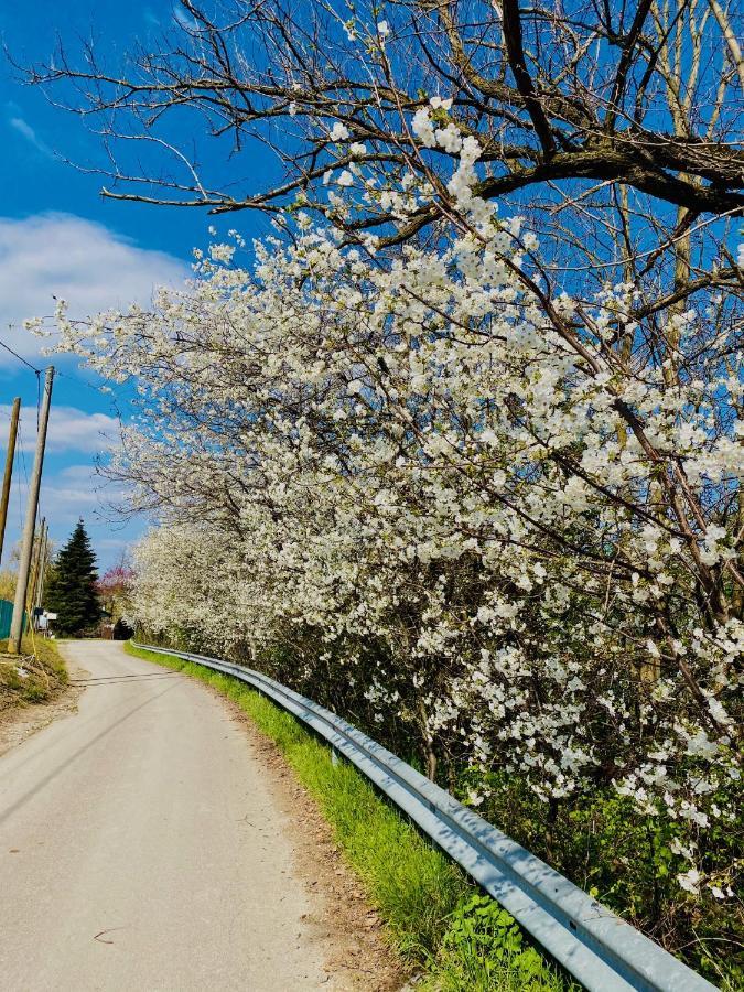 B&B Nido Sui Laghi San Donnino della Nizzola Zewnętrze zdjęcie